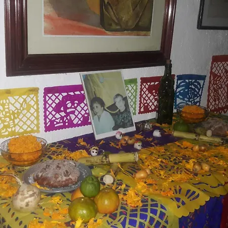 Villa Los Agaves - Hospederia-3
